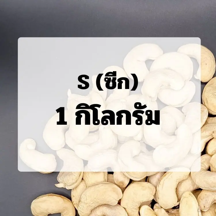 (1.0)เม็ดขาว : ขนาด S (ซีก)