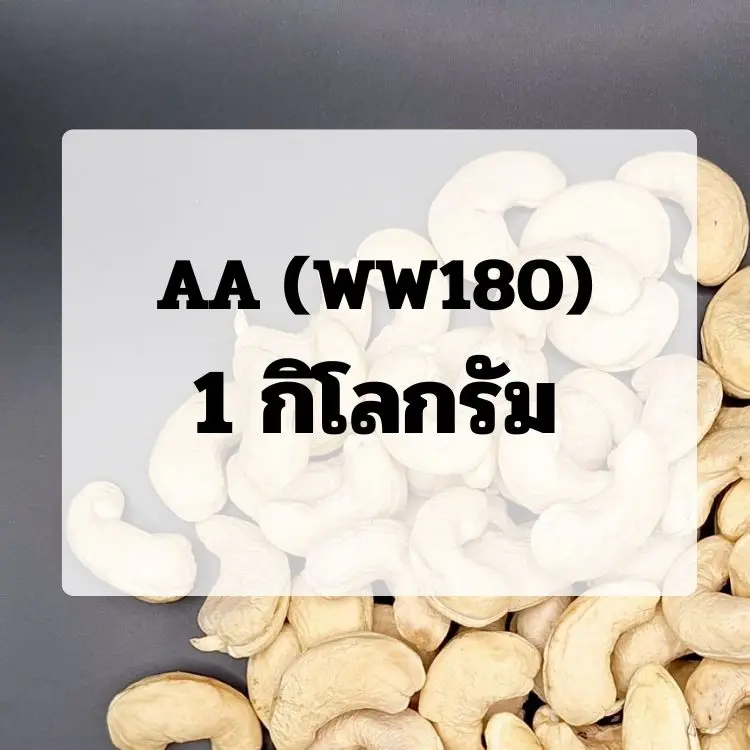 (1.0)เม็ดขาว : ขนาด AA (WW180)