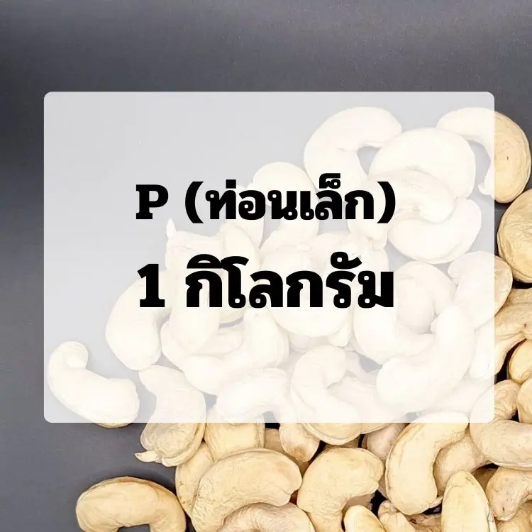 (1.0)เม็ดขาว : ขนาด P (ท่อนเล็ก)