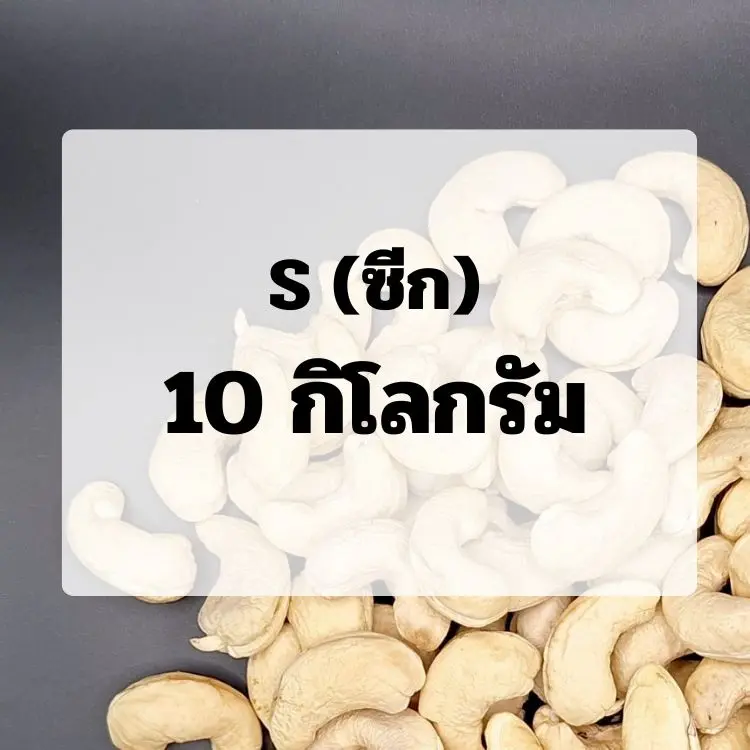(10)เม็ดขาว : ขนาด S (ซีก)
