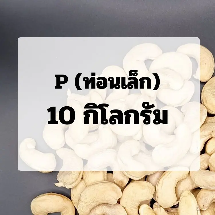 (10)เม็ดขาว : ขนาด P (ท่อนเล็ก)