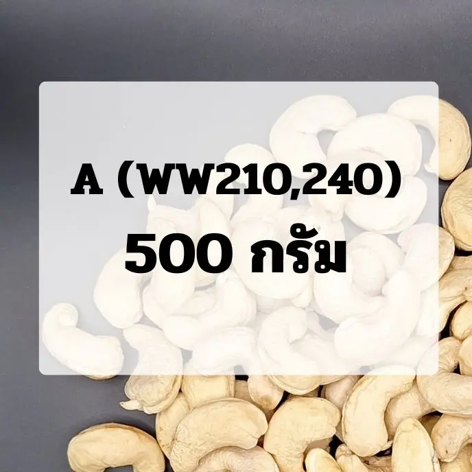 (0.5)เม็ดขาว : ขนาด A (WW210,WW240)