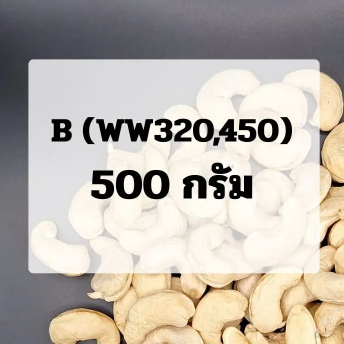 (0.5)เม็ดขาว : ขนาด B (WW320,WW450)