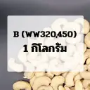 (1.0)เม็ดขาว : ขนาด B (WW320,WW450)